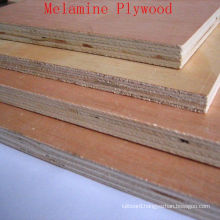 Economical Commercial Plywood with Good Quality and Prices